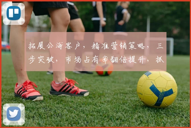拓展公海客户，精准营销策略，三步突破，市场占有率翻倍提升，抓住商机